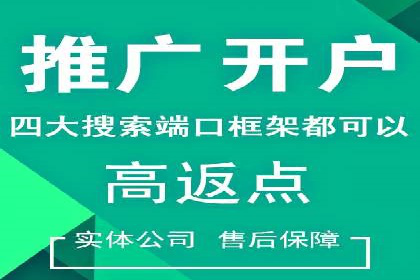 案例分析：竞价推广助力企业快速增长